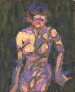 Fille nue avec ombre de branche